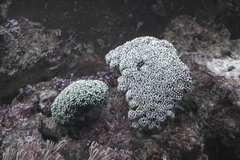 Killikus&reg; Fotographie